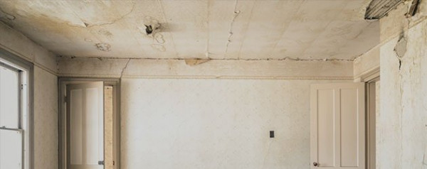 Mold Removal and Remediation Services in Las Vegas, NV