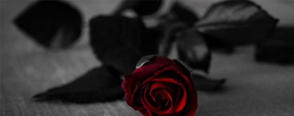 Suicide & Homicide Cleanup Services in Las Vegas, NV